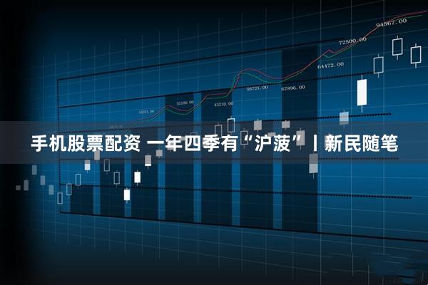 手机股票配资 一年四季有“沪菠”丨新民随笔