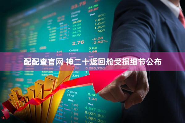 配配查官网 神二十返回舱受损细节公布