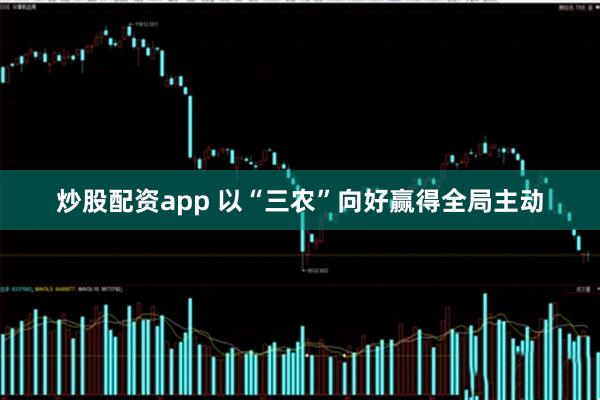 炒股配资app 以“三农”向好赢得全局主动