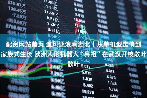 配资网站首页 追风逐浪看湖北丨从单机型走俏到家族式生长 欧洲人形机器人“鼻祖”在武汉开枝散叶