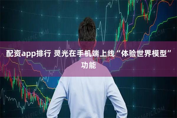 配资app排行 灵光在手机端上线“体验世界模型”功能